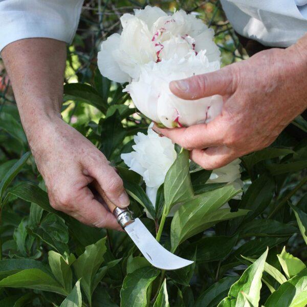 Opinel coltello 8 - ideale per i piccolo lavori di giardinaggio